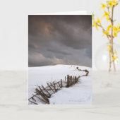 Een gebroken Omheining Kaart (Gele Bloem)