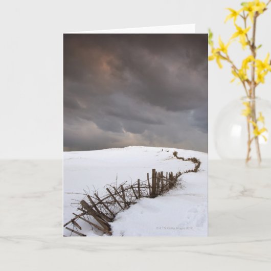 Een gebroken Omheining Kaart (Gele Bloem)