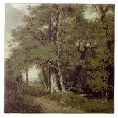 Een gecombineerd pad tegeltje (Voorkant)