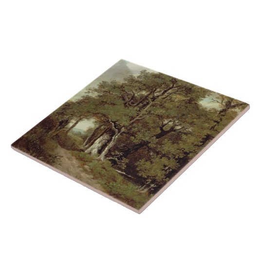 Een gecombineerd pad tegeltje (Zijkant)