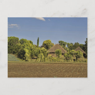 Een gecultiveerd veld voor rieten daken huizen briefkaart
