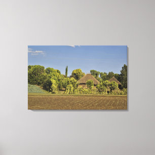 Een gecultiveerd veld voor rieten daken huizen canvas afdruk