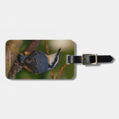 Een gedurfde rood-borst nuthatch bagagelabel (Voorkant horizontaal)