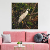 Een geel gekroonde nachtreiger canvas afdruk (Insitu (Woonkamer))