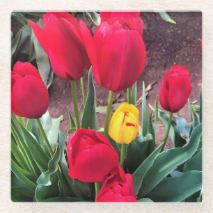 Eén geel met rode tulpen glazen onderzetter
