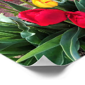 Eén geel met rode tulpen poster (Hoek)