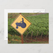 Een geeltrekkruising in de wijngaard briefkaart (Voorkant / Achterkant)