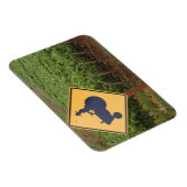 Een geeltrekkruising in de wijngaard magneet (Rechterzijde)