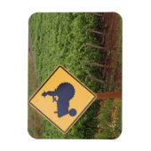 Een geeltrekkruising in de wijngaard magneet (Verticaal)