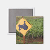 Een geeltrekkruising in de wijngaard magneet (Voorkant / Achterkant)