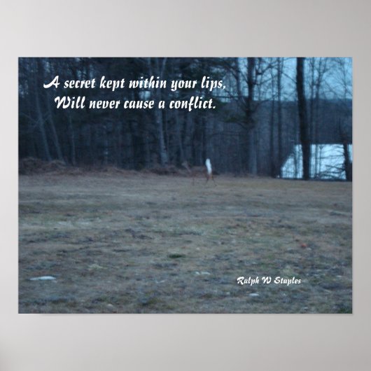 Een geheim bewaard poster (Voorkant)