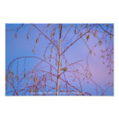 Een geheim bij zonsondergang foto afdruk (Voorkant)