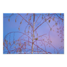 Een geheim bij zonsondergang