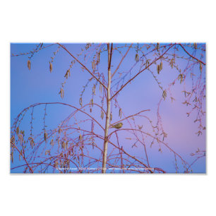 Een geheim bij zonsondergang foto afdruk