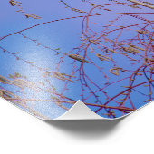 Een geheim bij zonsondergang foto afdruk (Hoek)