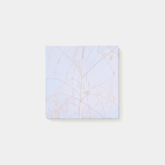 Een geheim bij zonsondergang post-it® notes (Voorkant)