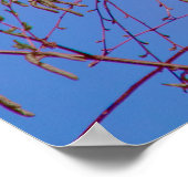 Een geheim bij zonsondergang poster (Hoek)