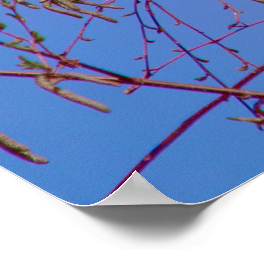 Een geheim bij zonsondergang poster (Hoek)