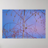 Een geheim bij zonsondergang poster (Voorkant)