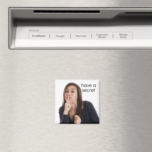 Een geheim koelapparaat hebben Magnet (Insitu (Vaatwasser))