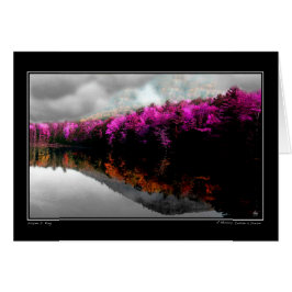 Een geheugen in een droom