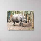 Eén gehoornde neushoorndier canvas afdruk (Voorkant)
