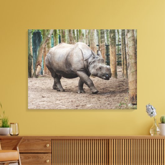 Eén gehoornde neushoorndier canvas afdruk (Insitu (Woonkamer))