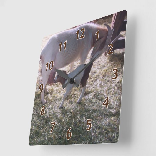 Een geit en haar Kind v2 Vierkante Klok (Hoek)