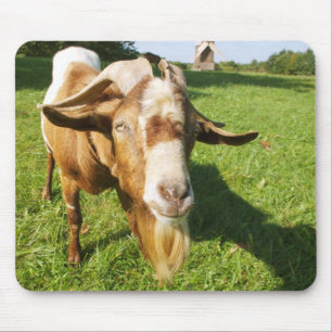 Een geit - mousepad muismat