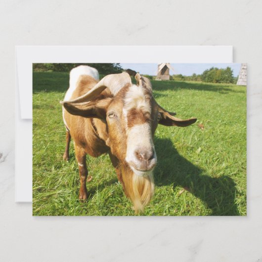 Een geit - uitnodiging (Voorkant)