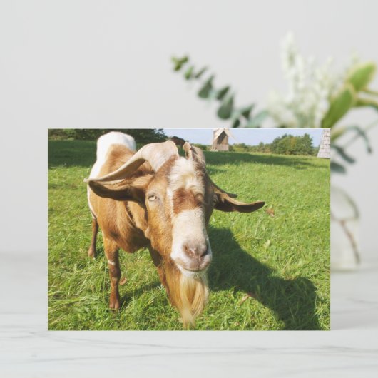 Een geit - uitnodiging (Staand voorkant)