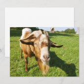 Een geit - uitnodiging (Voorkant / Achterkant)