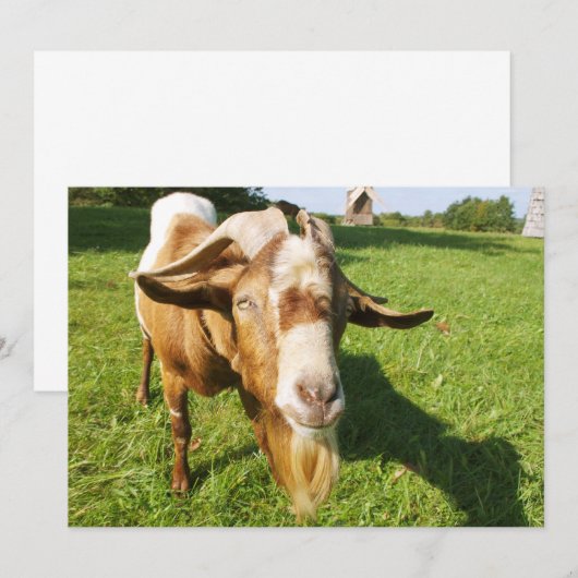 Een geit - uitnodiging (Voorkant / Achterkant)
