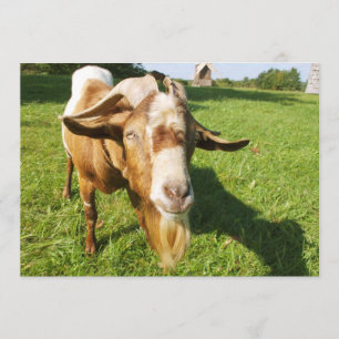 Een geit - uitnodiging