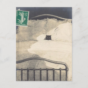 Een gek Kat! Briefkaart