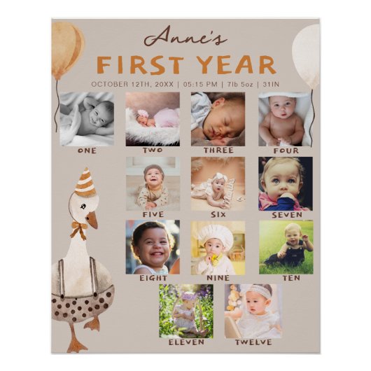 Een Gekke Gans 1e Verjaardag Foto Milestone Perfect Poster (Voorkant)