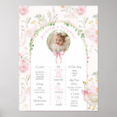 Een Gekke Gans 1e Verjaardagsfeest foto Milestone Poster (Voorkant)