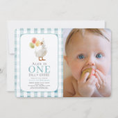 Een Gekke Goose Blue Gingham Boy 1st Birthday Kaart (Voorkant)