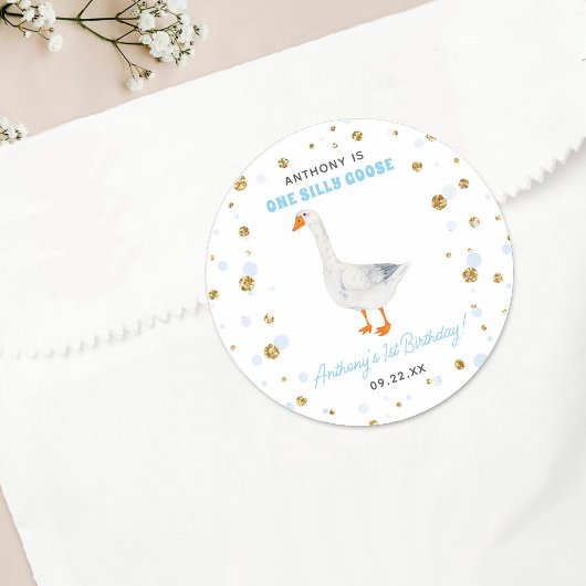Een Gekke Goose Boys 1e verjaardagsfeestje Ronde Sticker