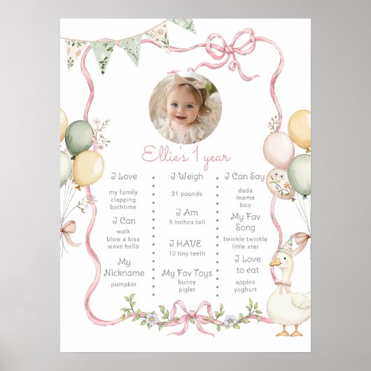 Een Gekke Goose Girl 1e verjaardag foto Milestone Poster (Voorkant)