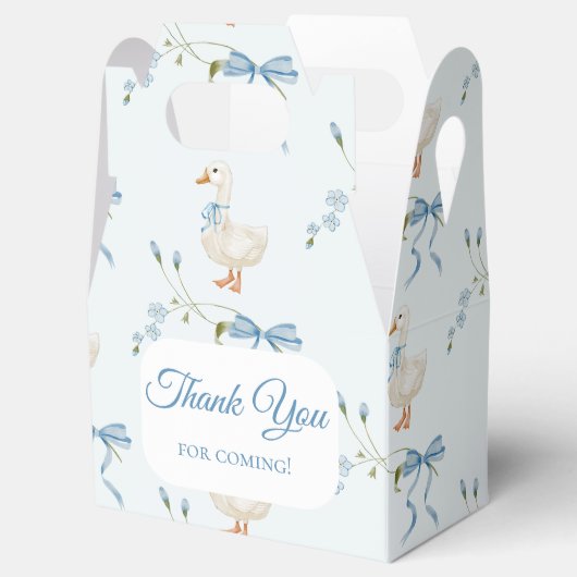 Een Gekke kleine Goose Verjaardag Waterverf Bedankdoosjes (Geopend)