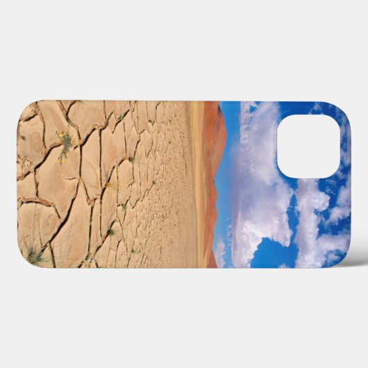 Een gekraakte woestijnvlakte Case-Mate iPhone case (Achterkant (horizontaal))