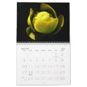 Een gele kleur voor 2025 kalender (Jan 2027)
