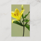 Eén gele Lily Visitekaartje (Achterkant)