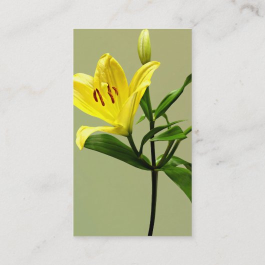 Eén gele Lily Visitekaartje (Achterkant)