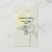 Eén gele Lily Visitekaartje (Voorkant)