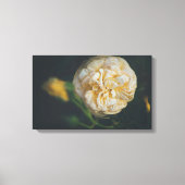 Een gele roos canvas afdruk (Voorkant)