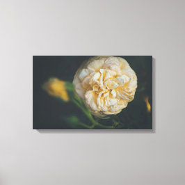 Een gele roos canvas afdruk