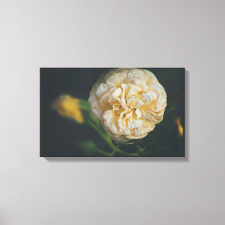 Een gele roos canvas afdruk