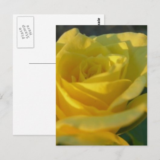 Een gele Rose Briefkaart (Voorkant / Achterkant)